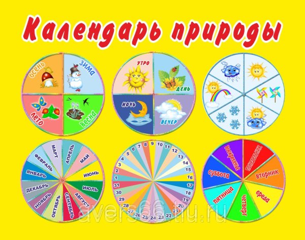 Уголок природы для детей