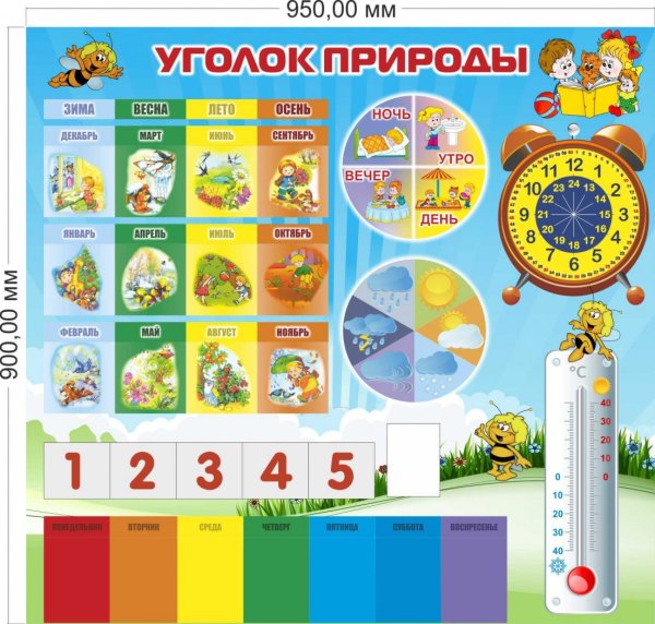 Стенд "уголок природы"
