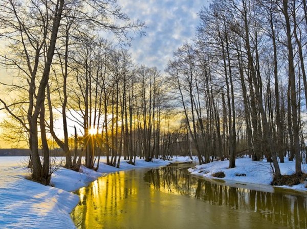 Конец марта природа