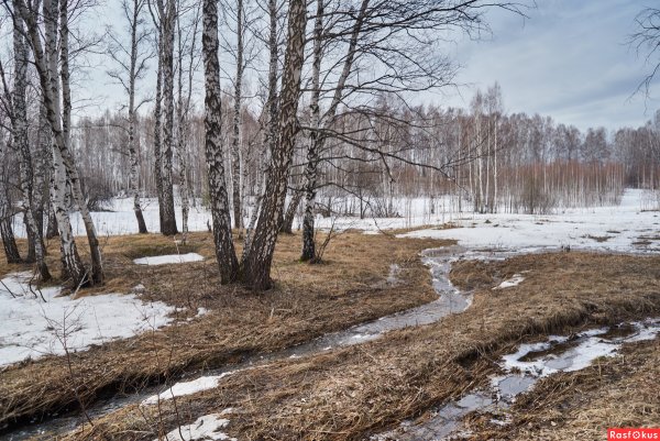 Ранняя Весна