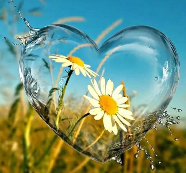 Природа вечер