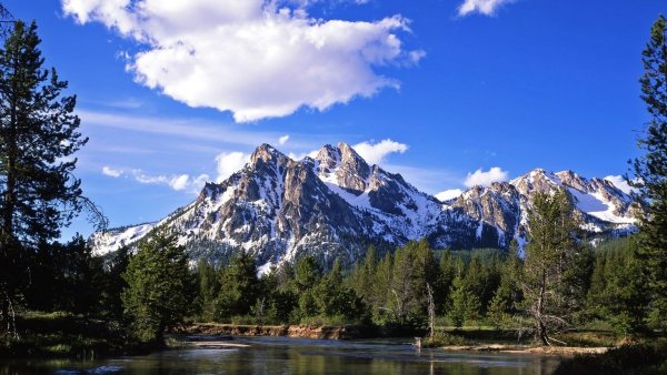 Национальный парк Банф лес