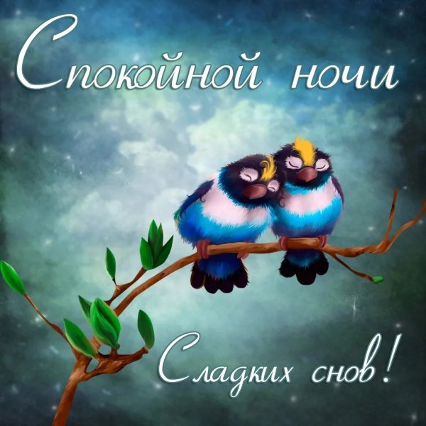 Спокойной ночи сладких снов