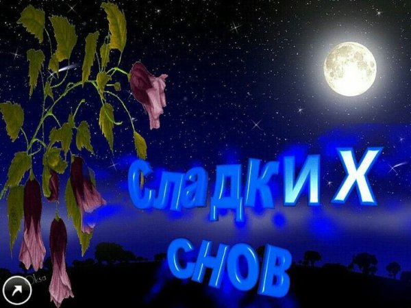 Доброй летней ночи сладких снов