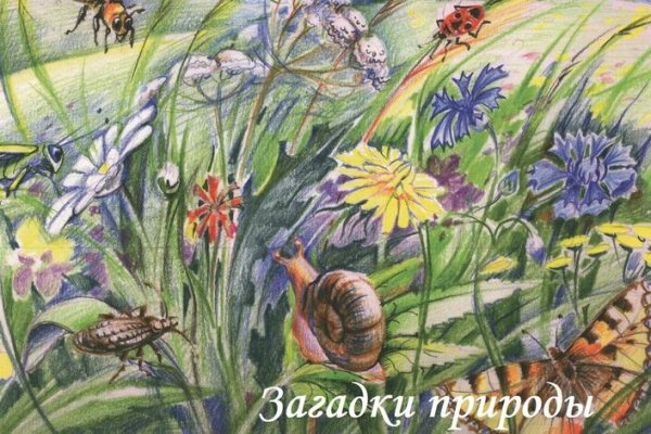 Загадки природы рисунок