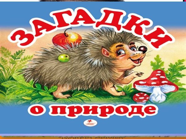 Загадки о природе для детей дошкольного возраста