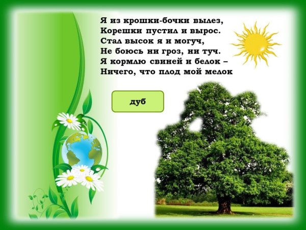 Загадки по экологии для дошкольников
