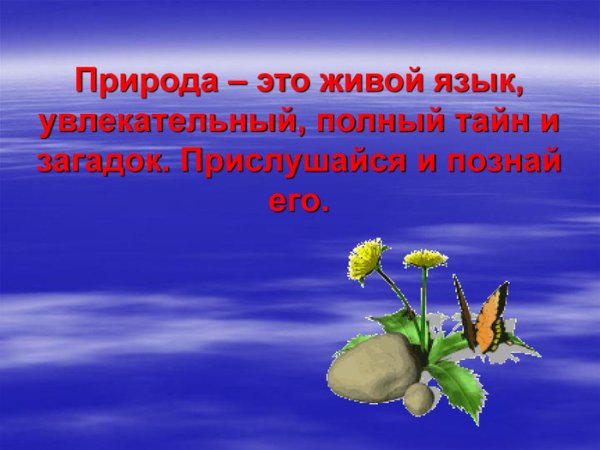 Загадки природы
