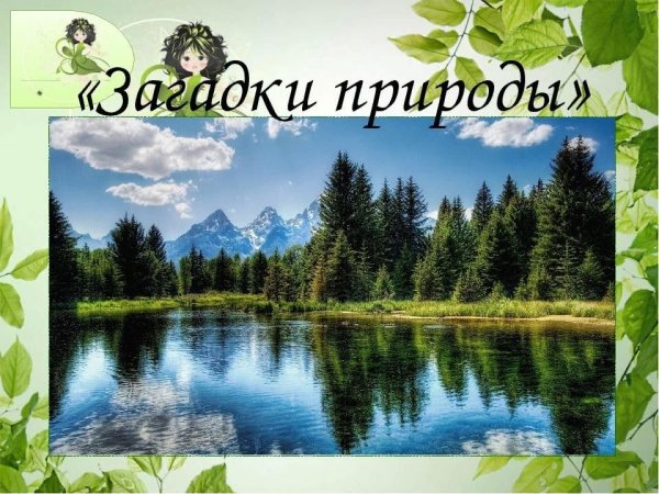 Загадки природы
