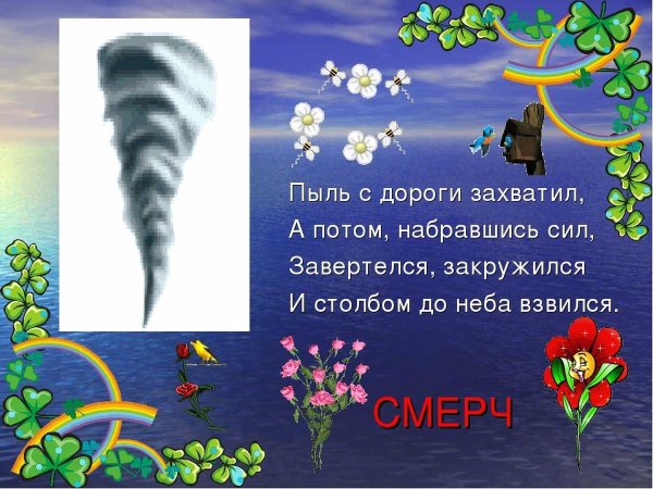 Загадки природы