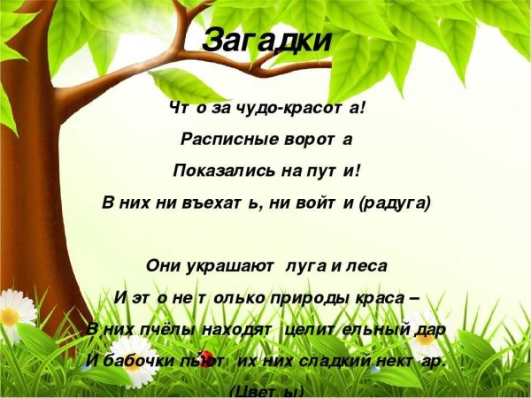 Экологические загадки для дошкольников