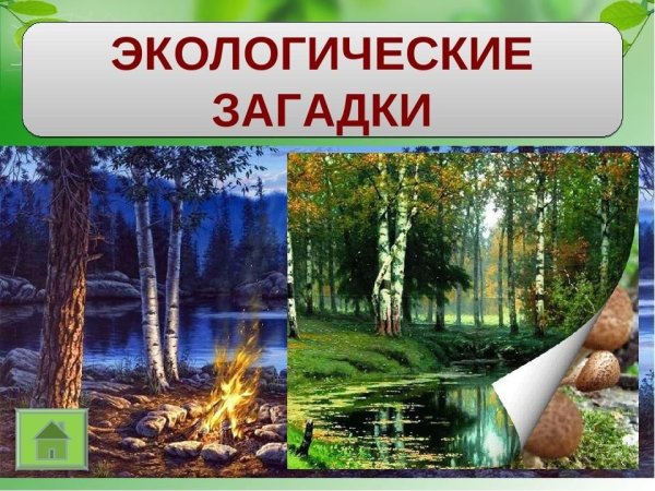 Экологические загадки для дошкольников