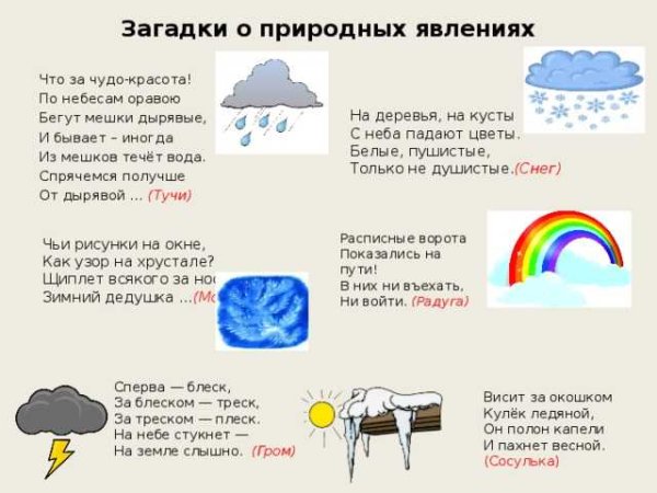 Загадки по экологии для детей
