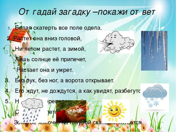 Экологические загадки