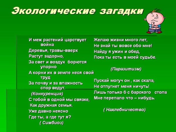 Доклад о явлении природы