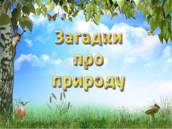 Летние рисунки
