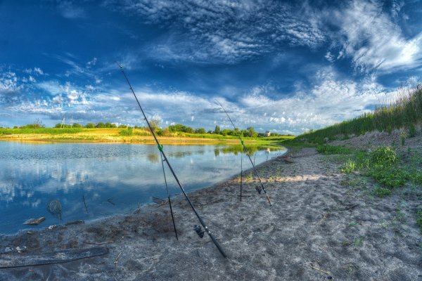 Природа на реке и рыбалка