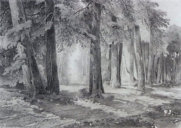 Саврасов аллея Этюд 1870г.