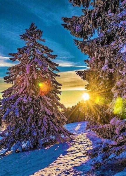 Зимняя природа
