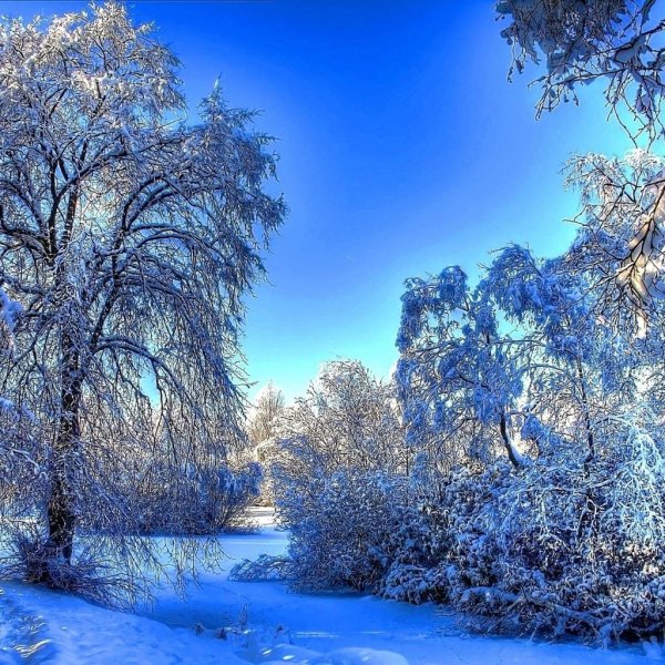 Красивая зима
