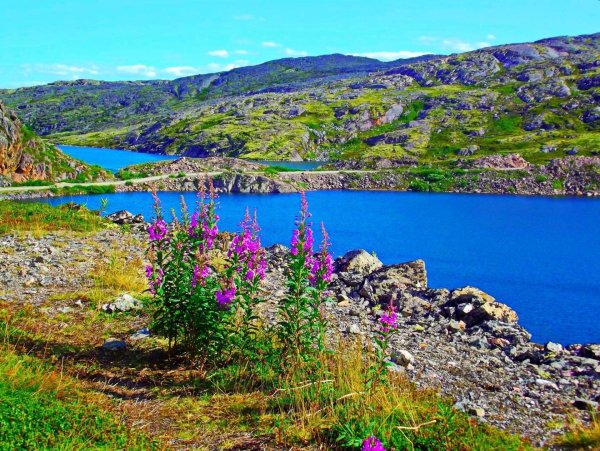 Мурманск природа Кольский полуостров