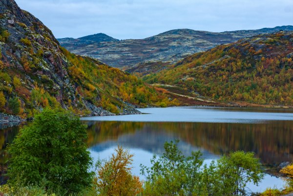 Качковка река Мурманская область