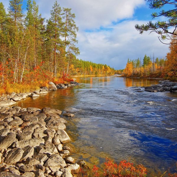 Колвица (река)