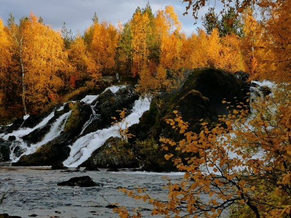 Водопад Шуонийоки Мурманская область