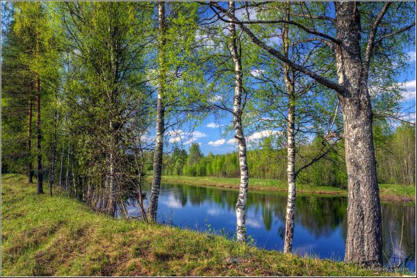 Природа Урала Весна май