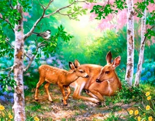 Иллюстрация природы и животных