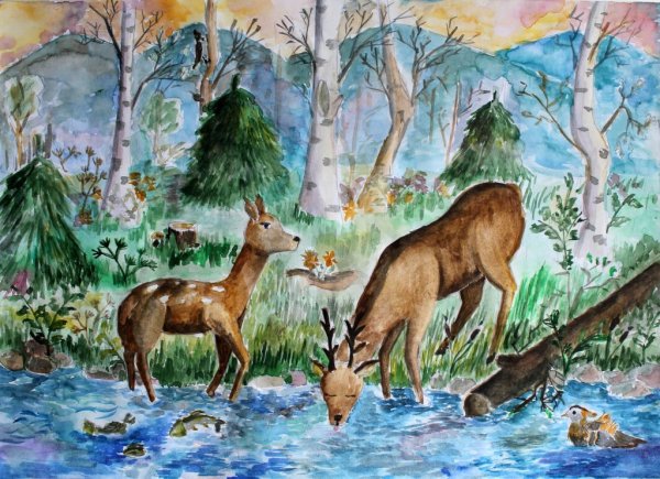 Рисунки природы и животных
