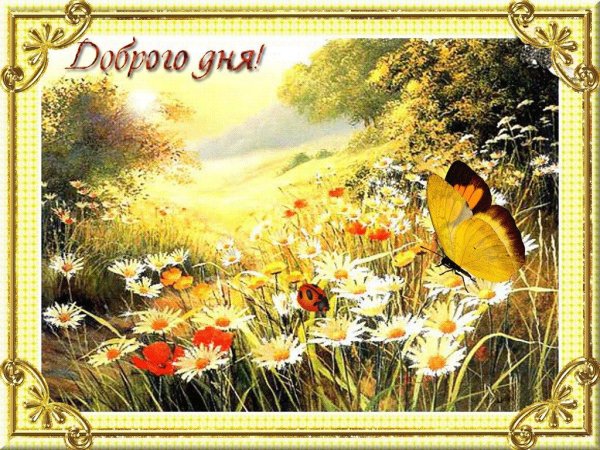 Чудесного летнего дня