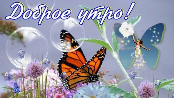 Прекрасного летнего дня