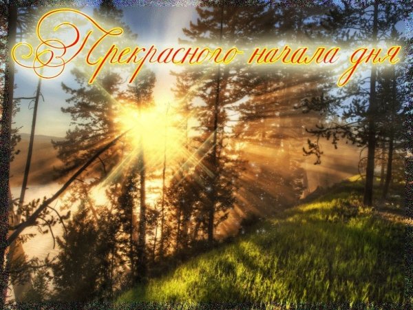 Доброго летнего денёчка и хорошего настроения
