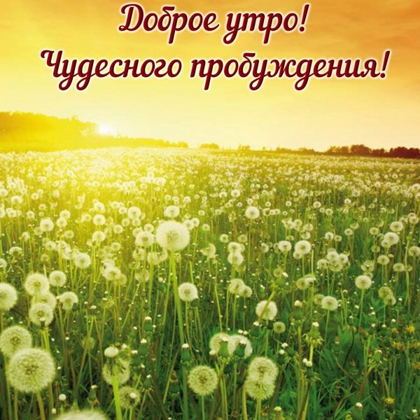 Доброе Весеннее Майское утро