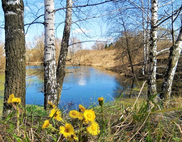 Природа ранней весной