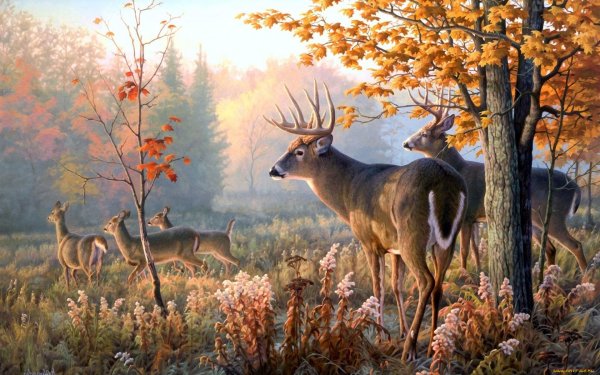 Тигр у водопада алмазная мозаика
