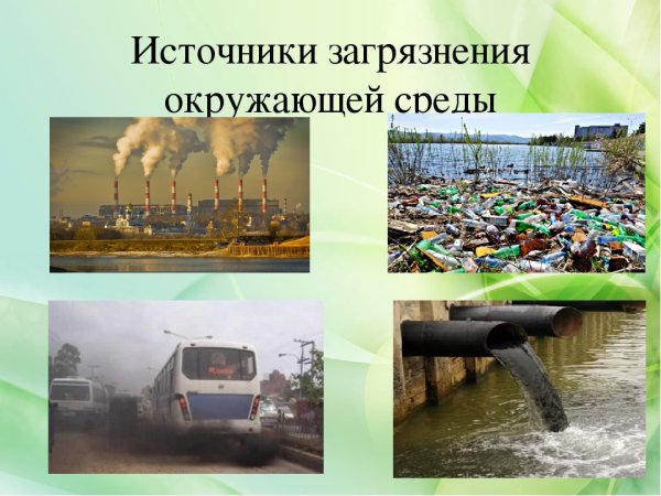 Гора мусора