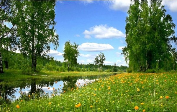 Всеволод Александрович Рождественский берёза