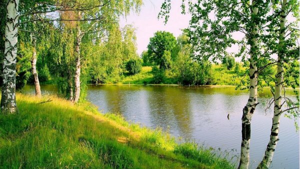 Россия Родина моя природа
