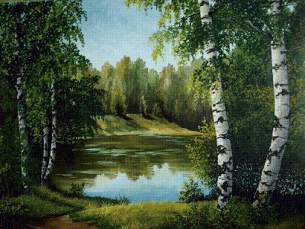 Березовая роща картина Елены Самарской