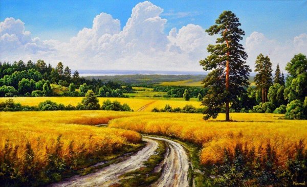 Россия просторы Березки реки