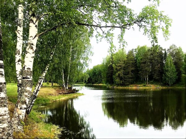 Художник Сержпинский Сергей