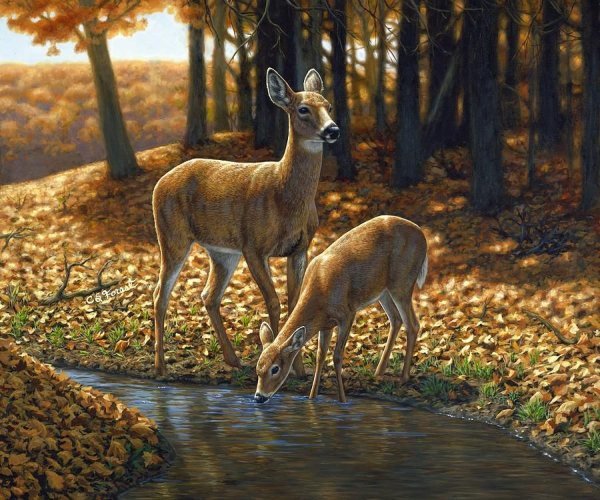 Американская художница Crista Forest