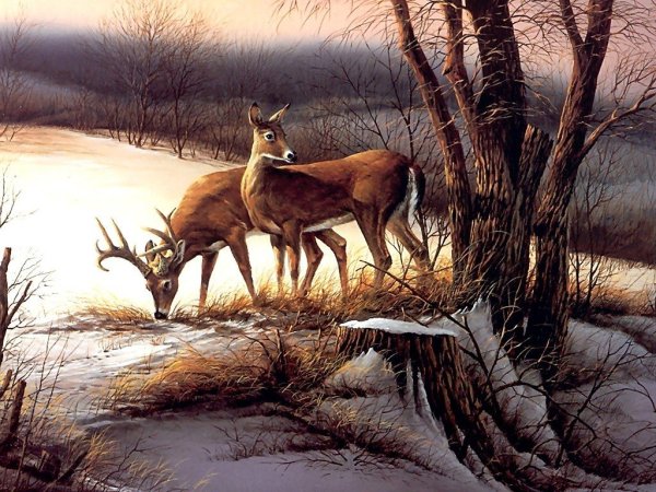 Американская художница Crista Forest картины