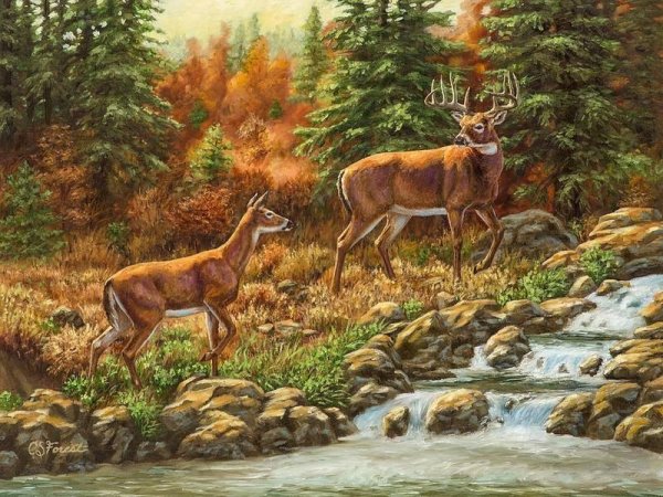 Пейзажи природы с животными