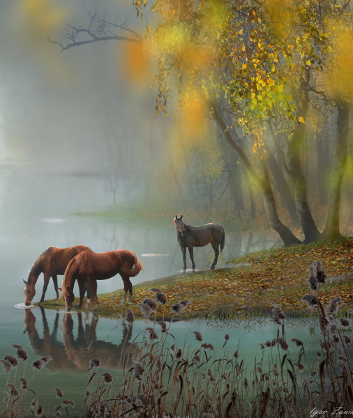 Американская художница Crista Forest картины