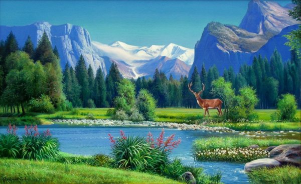 Дикая природа пейзаж