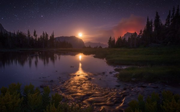 Ночная природа