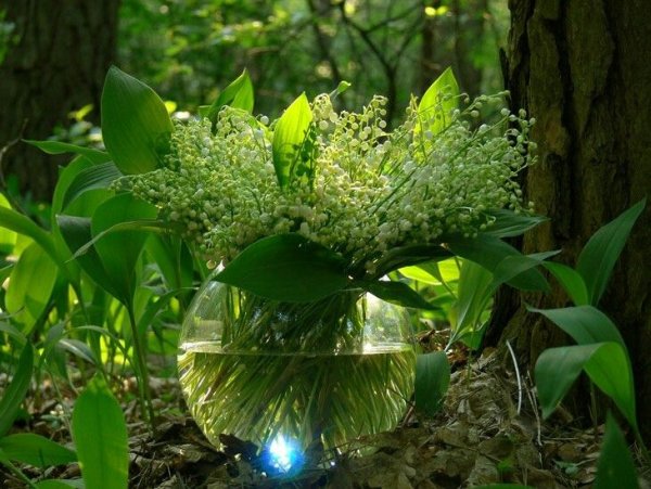 Весенний лес с ландышами